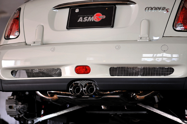 308 mini 1 DSC_2530.jpg